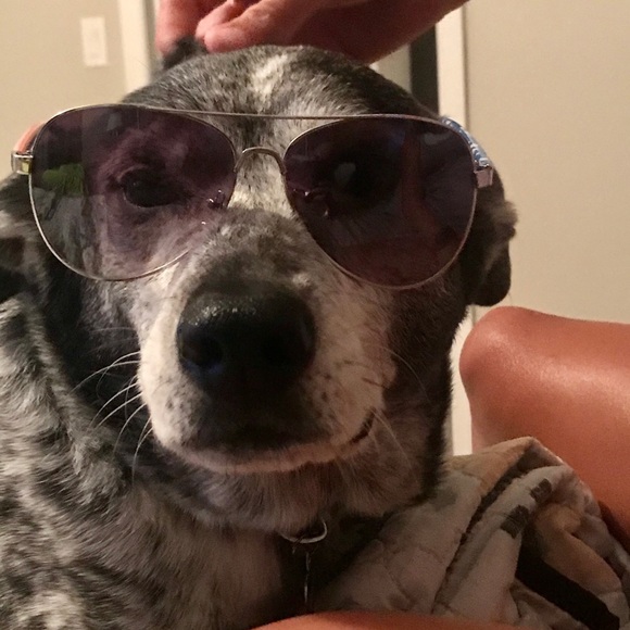 Meet your Posher, Crystal - Picture 1 of 2